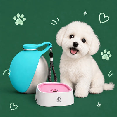 Feeding & Water Accessories