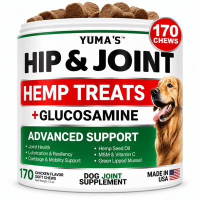 Hemp Hip & Joint Chews for Dogs – Glucosamine & MSM