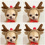 61e767a612711957a24eb2bfbbbc2a1d