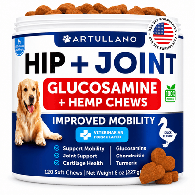 Hip & Joint Support Chews for Dogs