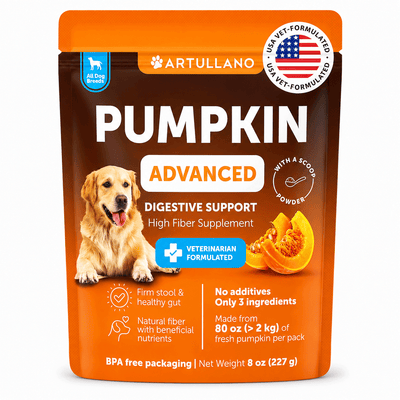 Pumpkin Powder for Dogs – Digestive Support Supplement