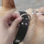 Automatic Telescopic Dog Luminous Traction Rope