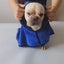 Vintage Dog Bathrobe