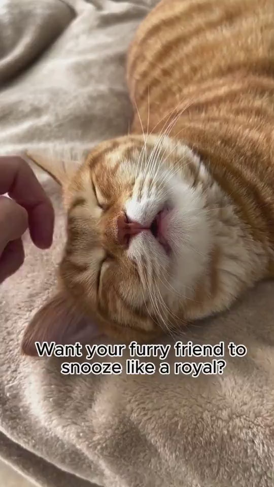 1.mp4